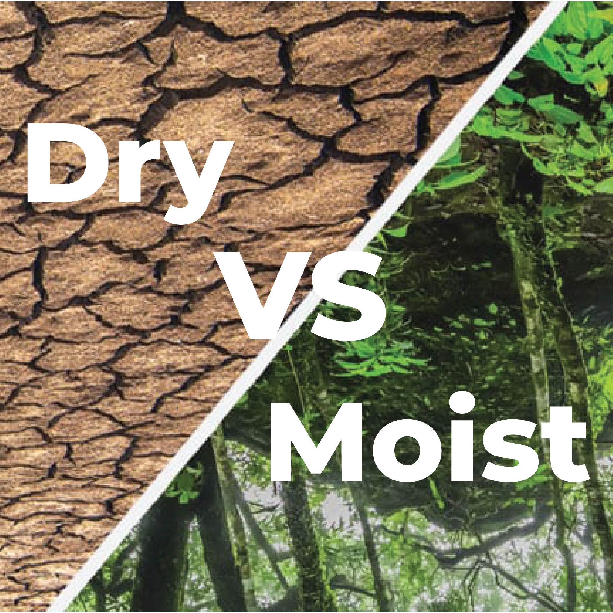 Dry vs Moist Heat - What's the Difference?